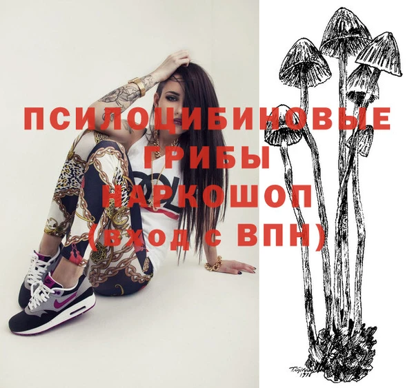 шишки Алексин