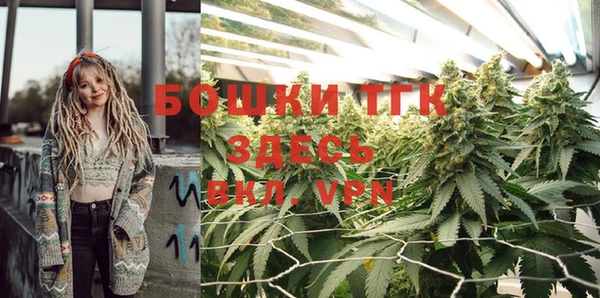 шишки Алексин