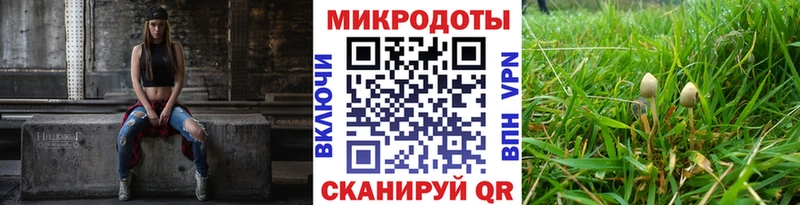 Псилоцибиновые грибы MAGIC MUSHROOMS  kraken как войти  Алапаевск 