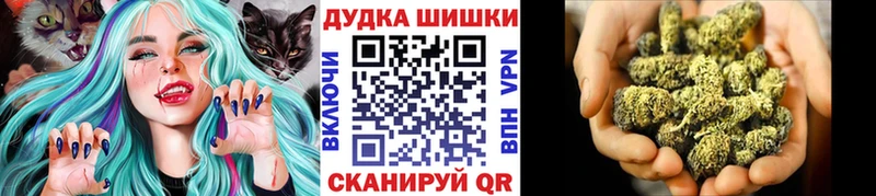 Бошки Шишки конопля  купить закладку  Алапаевск 